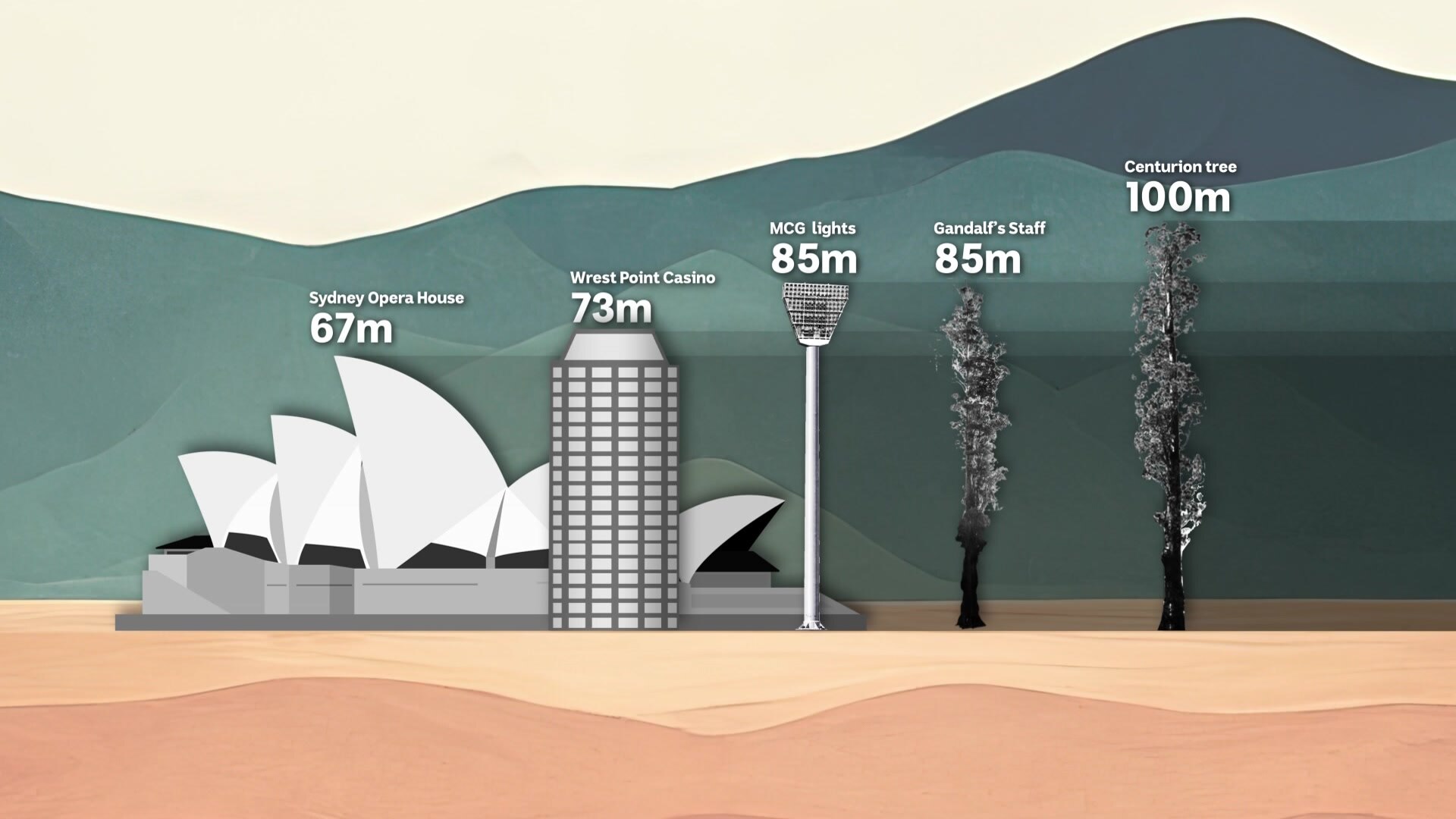 Graphic showing tree height depicted next to well known buildings