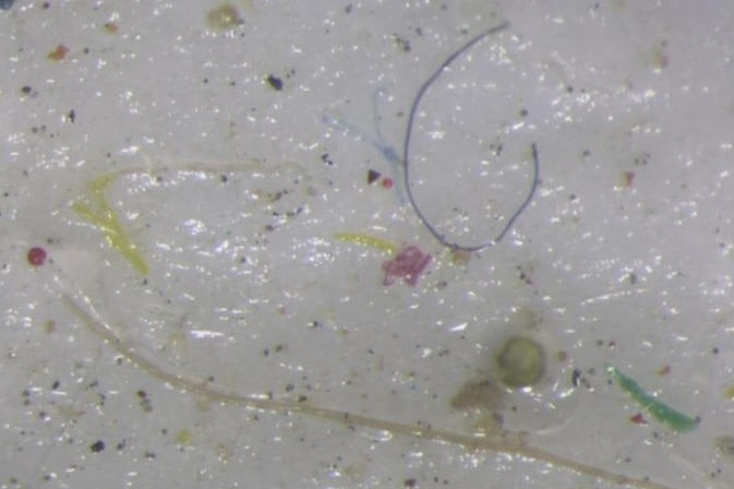 Microplastics can be seen in a close-up image of an ice core sample taken from the Arctic.