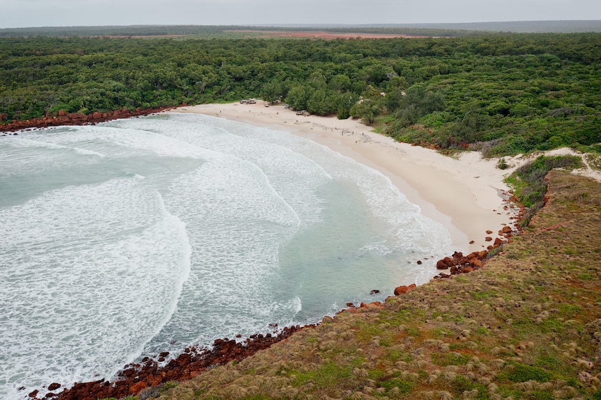 An aerial shot of Little Bondi Beach, with white sand surrounded by expansive scrub.