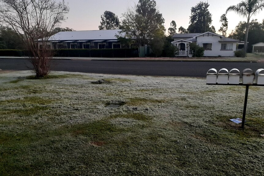 Frost on the front lawn in Miles, Queensland,