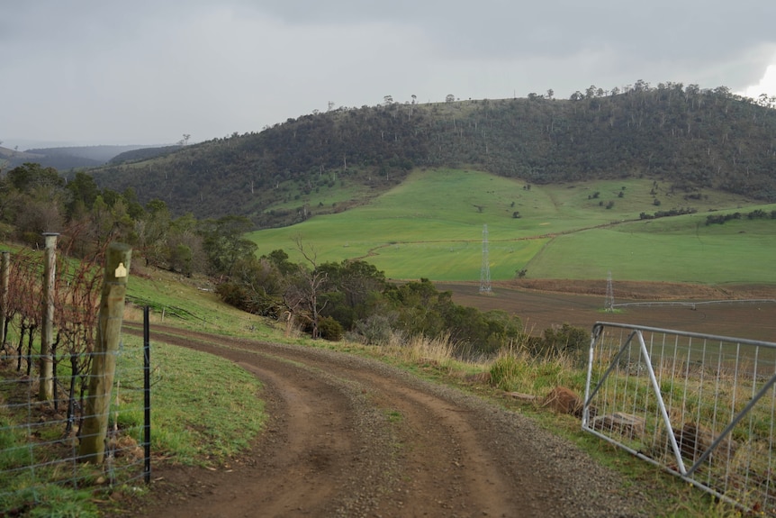 A green valley with rolling hills.