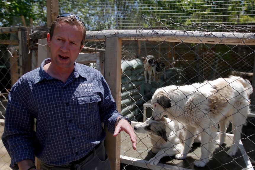 Pen Farthing, founder of British charity Nowzad stands in front of a cage full of dogs.