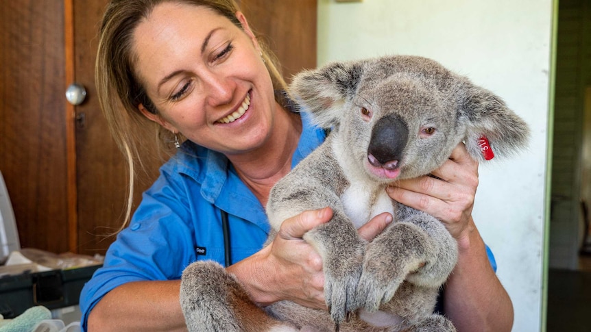 Dr Amber Gillett holding a koala.