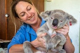 Dr Amber Gillett holding a koala.