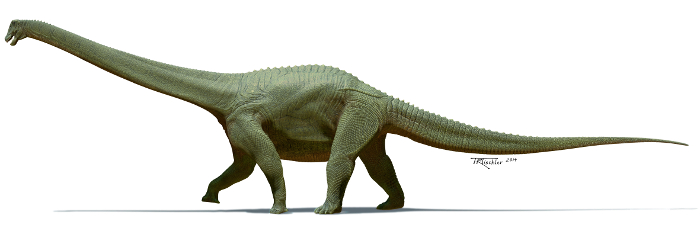 Life restoration of Diamantinasaurus matildae