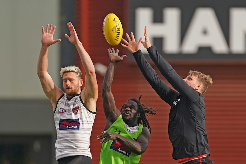 A group of AFL players raise their arms above their heads in a marking contest at training.