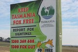 Fox free Tasmania sign