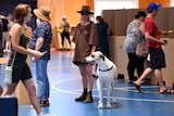 a woman stands in a queue to vote with her great dane