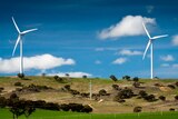 SA generates 26pc of energy from wind power
