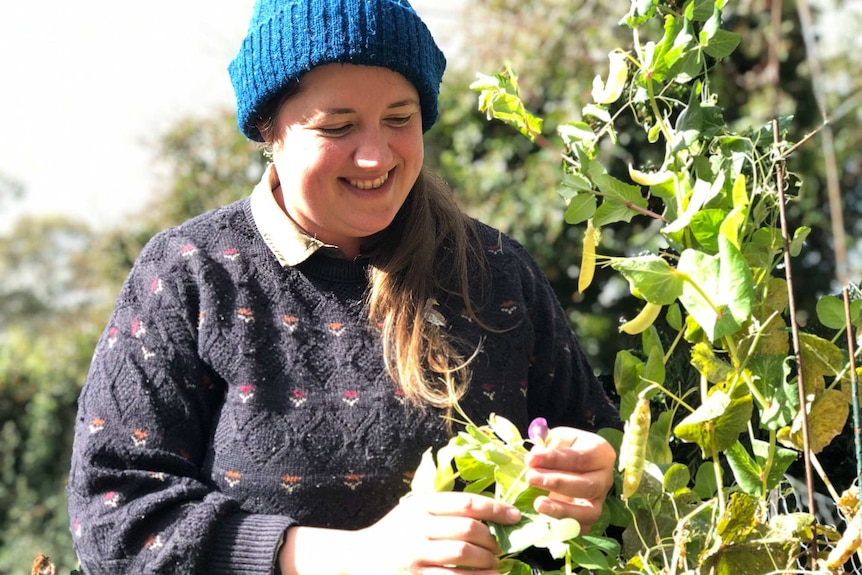 A woman looks at a sweet pea vine.