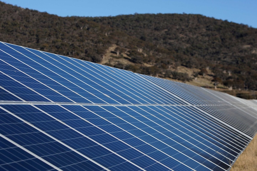 solar panels foreground, tree covered hill and blue sky behind