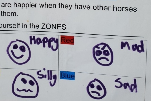 A piece of paper with "horses are happier when they have other horses around them" and children's drawing of faces.