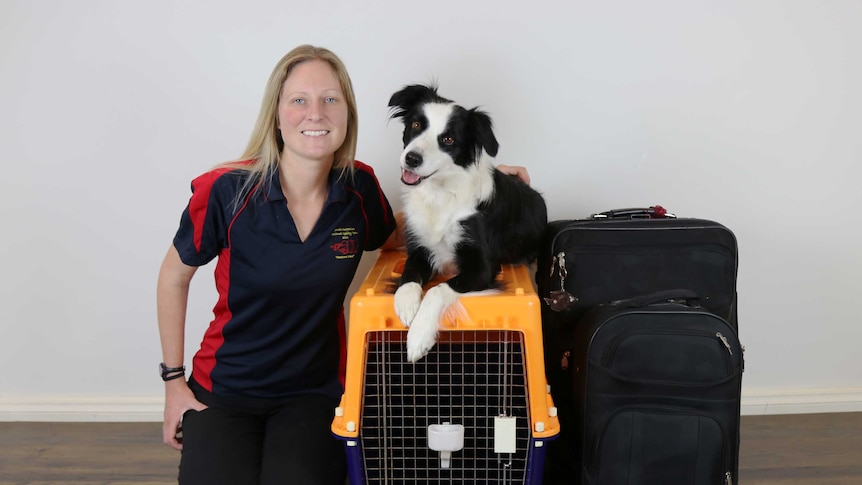 Sarah kneeling down with her arm around the border collie, who is sitting on top of her travelling crate next to a suitcases.