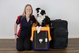 Sarah kneeling down with her arm around the border collie, who is sitting on top of her travelling crate next to a suitcases.