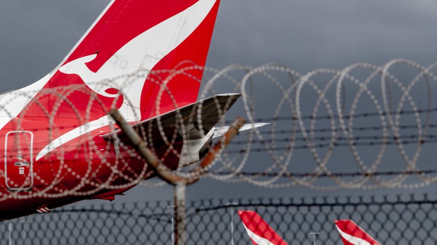 The tail of a Qantas plane can be seen through a fence sitting in an airport.