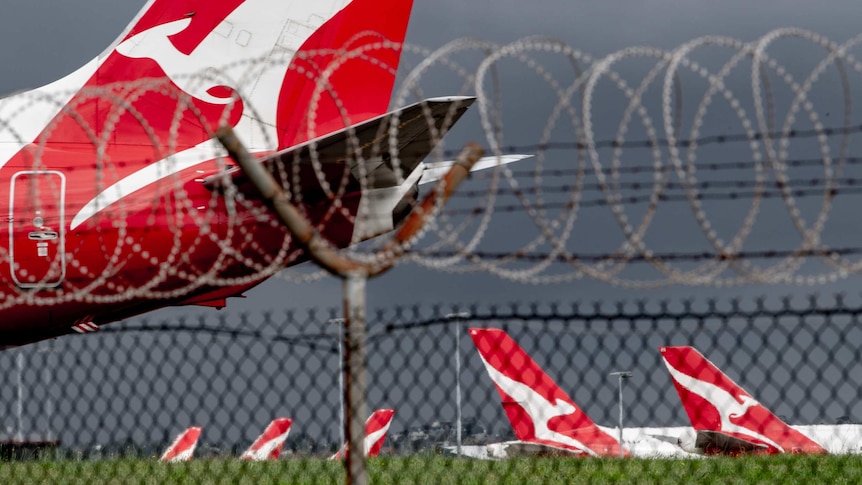 Qantas planes are parked on the tarmac behind barbed wire at an airport in Sydney.