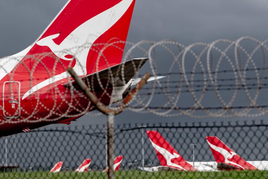 Qantas planes are parked on the tarmac behind barbed wire at an airport in Sydney.