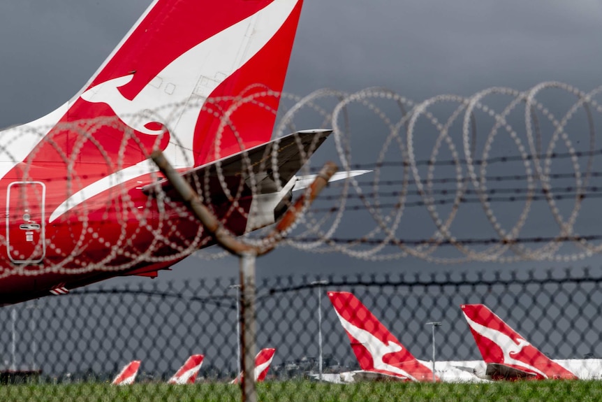 The tail of a Qantas plane can be seen through a fence sitting in an airport.