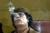 ex-Libyan leader Gaddafi