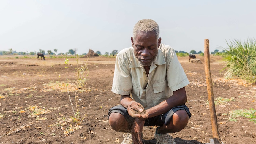 Richard Elias, 63, in his barren cotton fields