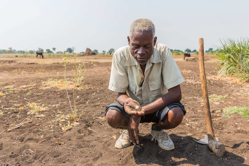 Richard Elias, 63, in his barren cotton fields