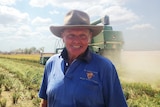 Bruce White, NT rice farmer