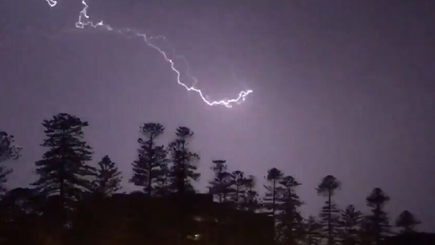 Lightning flashes above trees and lights up the night sky in Manly, NSW.