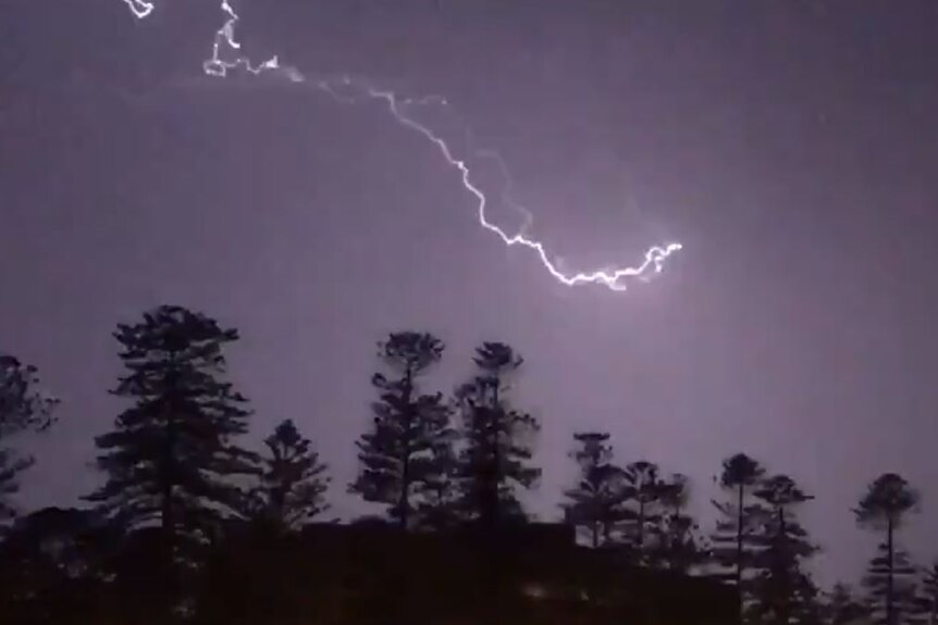 Lightning flashes above trees and lights up the night sky in Manly, NSW.