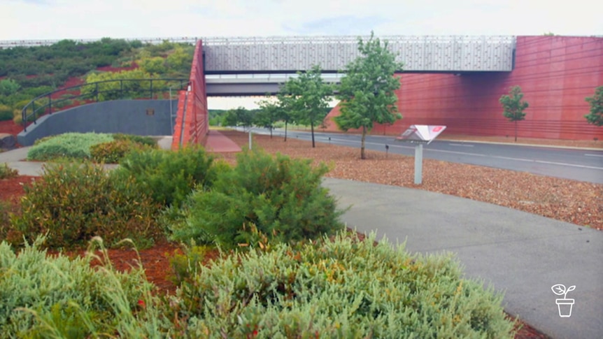 Freeway overpass with trees planted alongside road with plaques