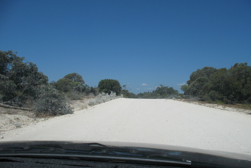A photo taken of a white sandy beach track