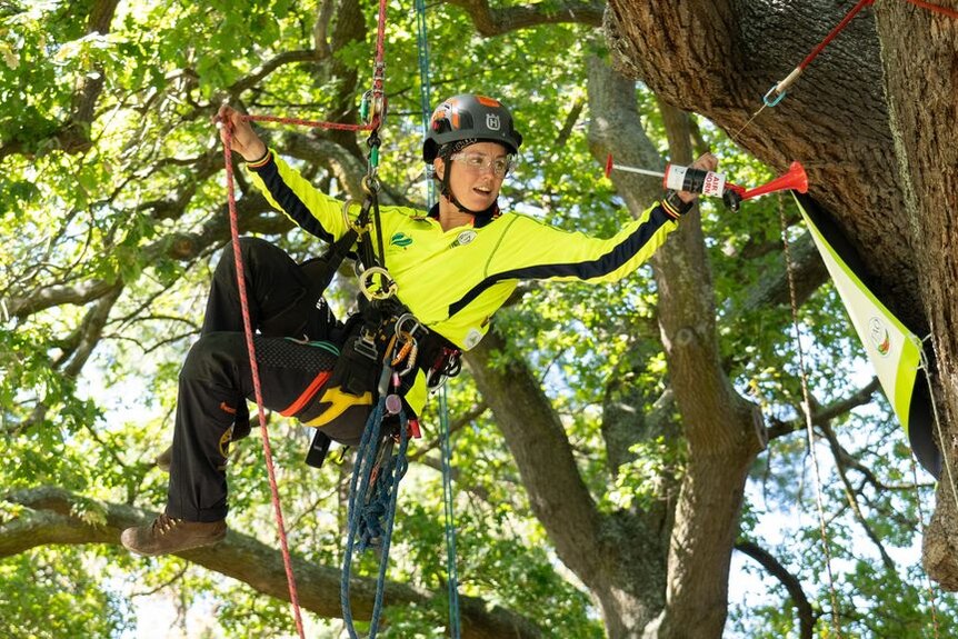 Woman dangling in harness from tree reaches for an air horn