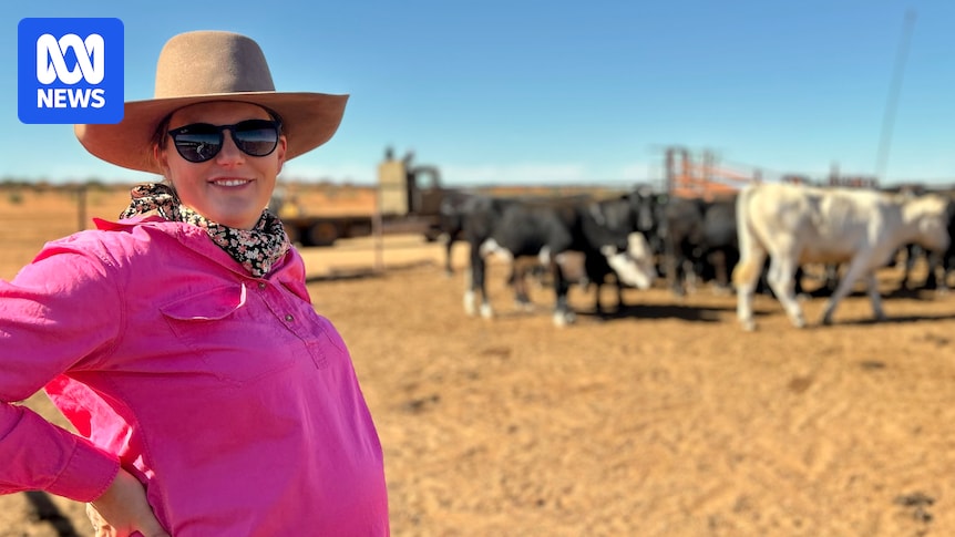 The Remarkable Journey of Pregnant Women in Remote Australia: Overcoming Distance for Antenatal Care