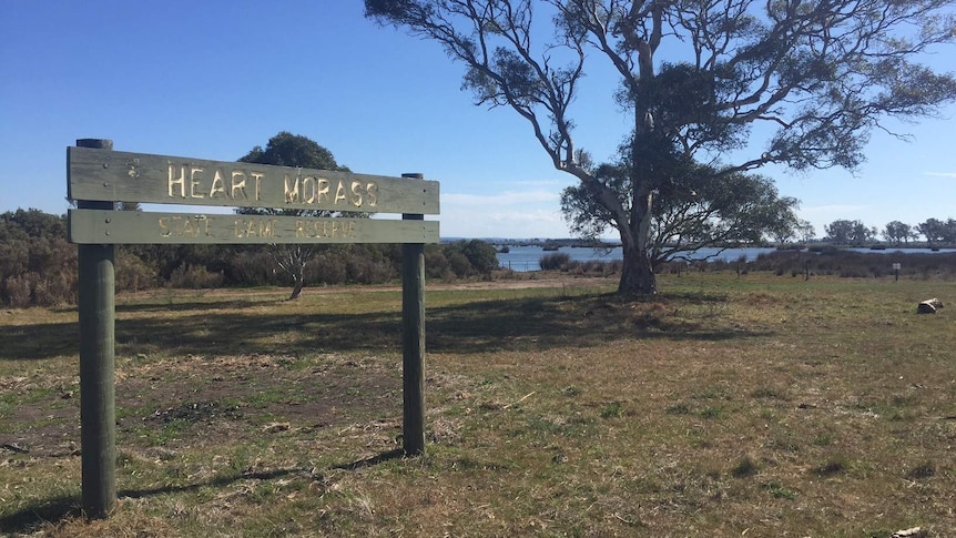 The Heart Morass wetland is located near Sale