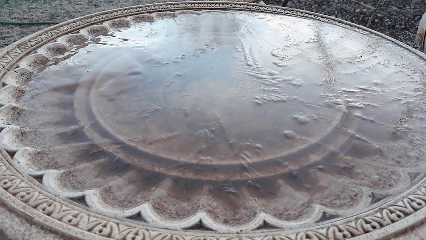 A frozen bird bath