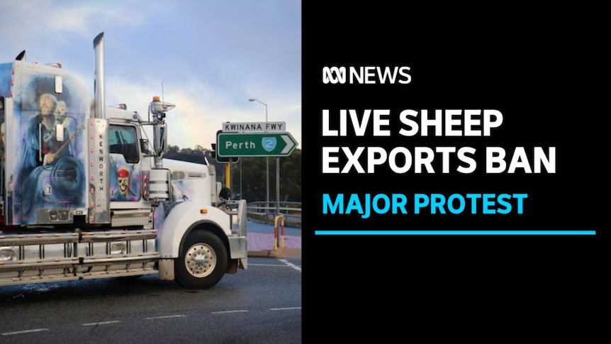 Live Sheep Exports Ban, Major Protest: A semi-trailer truck stopped on a road next to a sign indicating the direction to Perth.