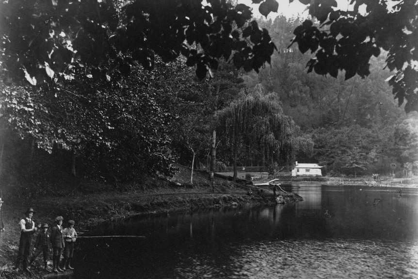 A black and white photograph of three boys with fishing rods by the water's edge of a tree-lined lake, cottage at the far end.