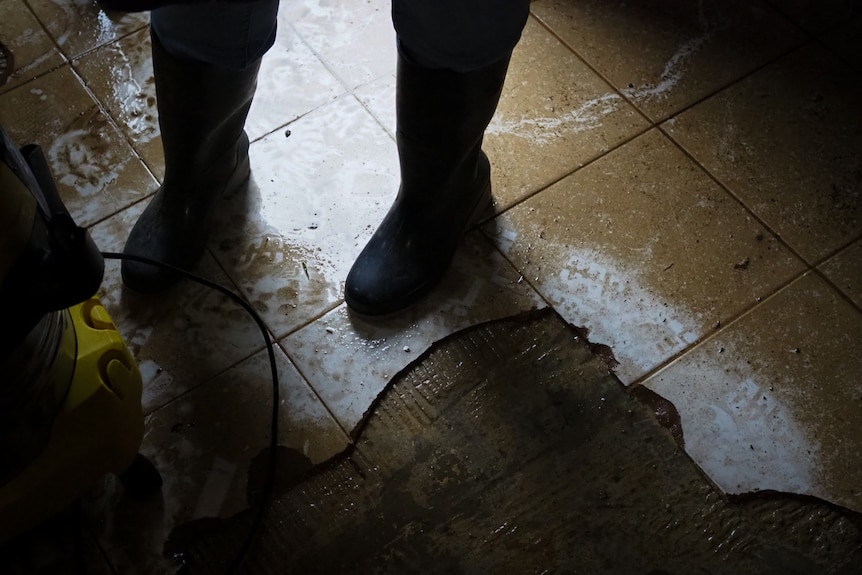 A pair of gumboots stand on mud covered tiles.