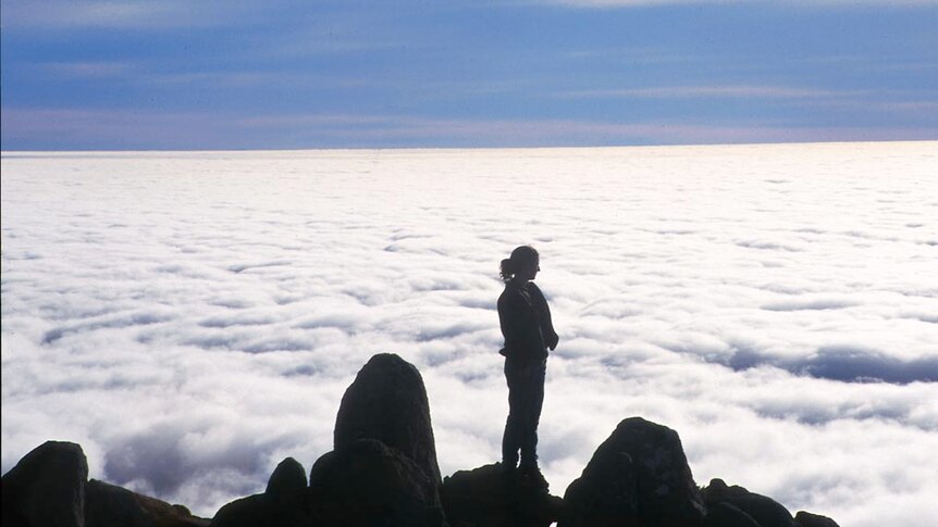 A walker looks out over a bank of cloud beneath where she stands on mountain top