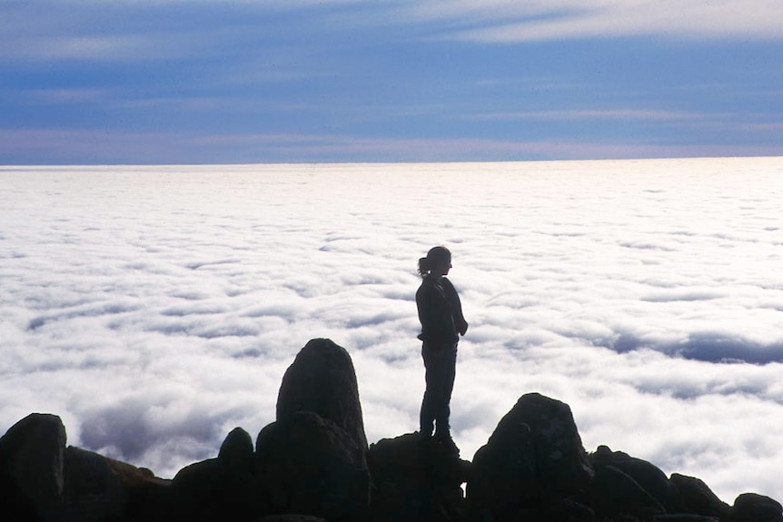 A walker looks out over a bank of cloud beneath where she stands on mountain top