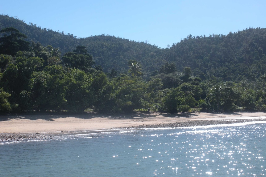 Cape Tribulation and Daintree National Park