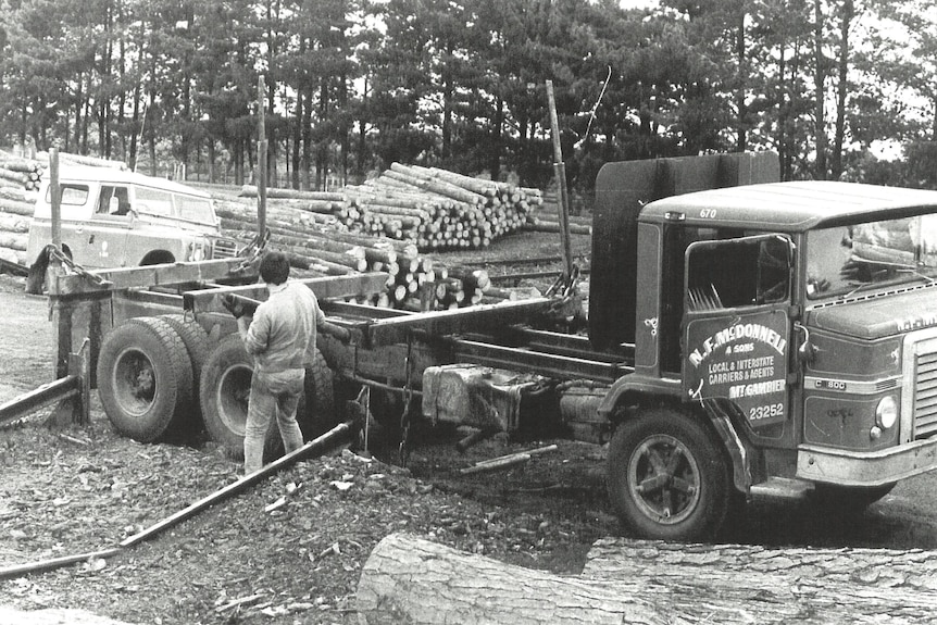 An old black and white photo of a 1940s truck with a man loading logs into it in a forest.