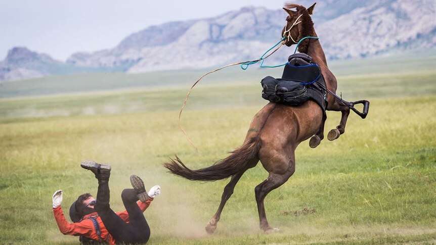 A rider is bucked off a horse.