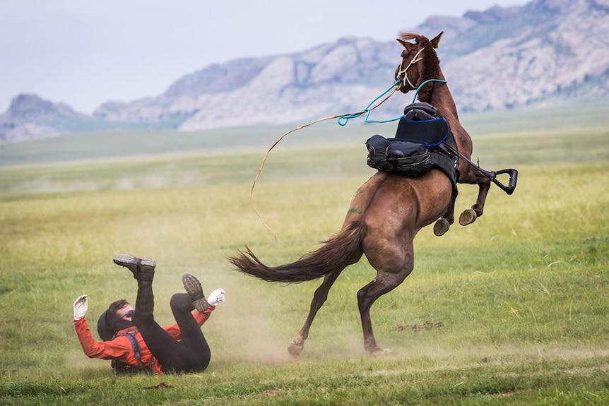 A rider is bucked off a horse.