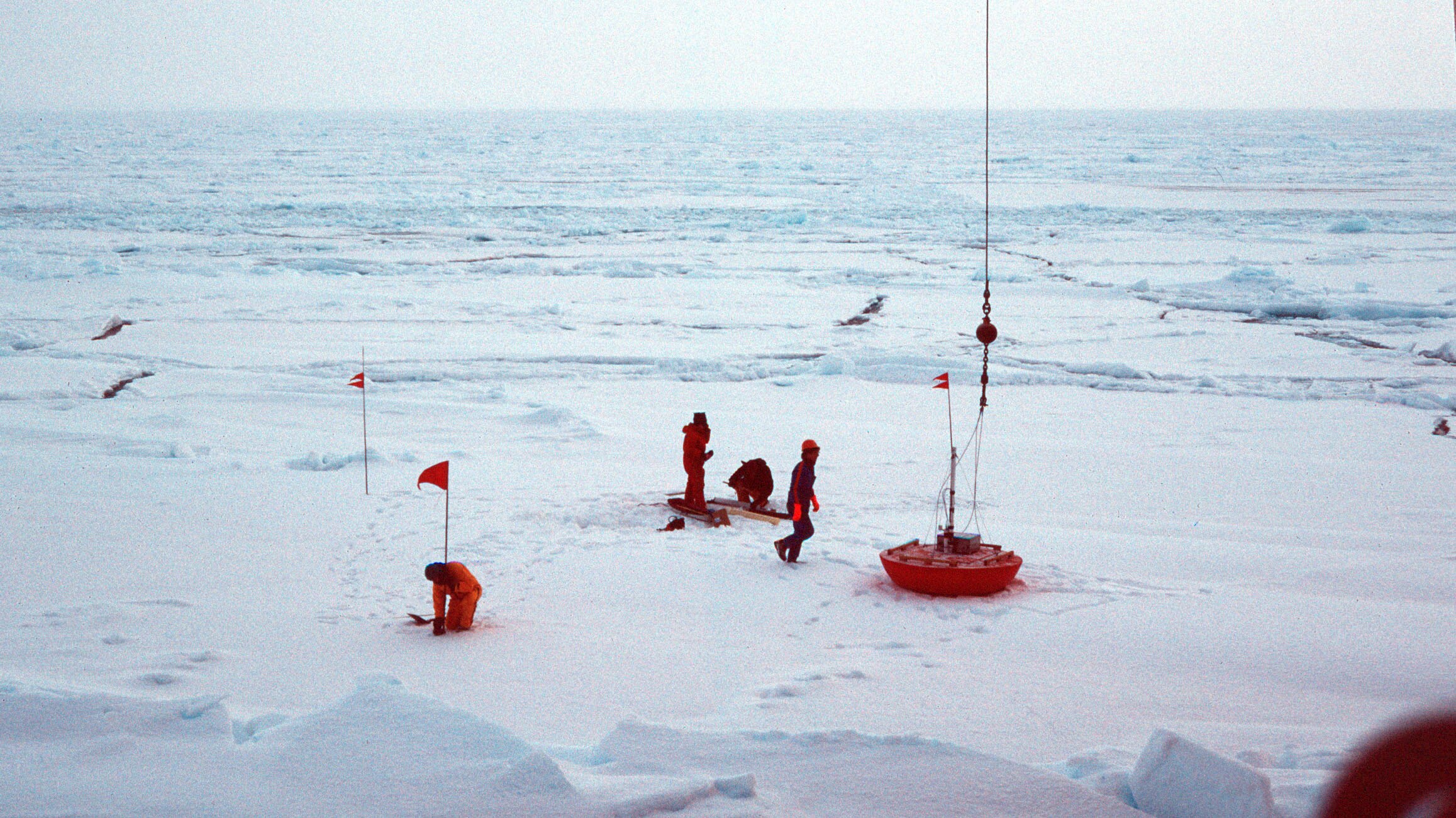 Antarctic sea ice hits another record low Natural fluctuation or sign