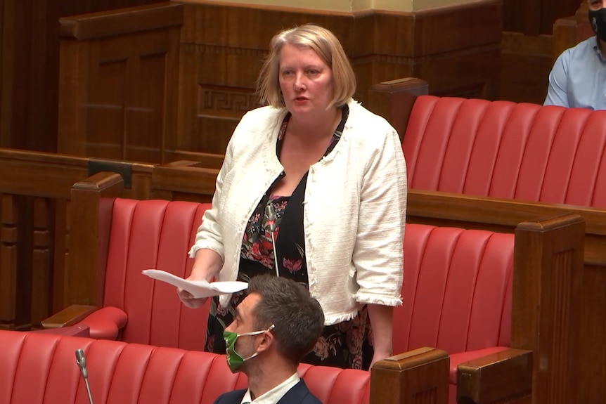 Tammy Franks standing inside Parliament House speaking