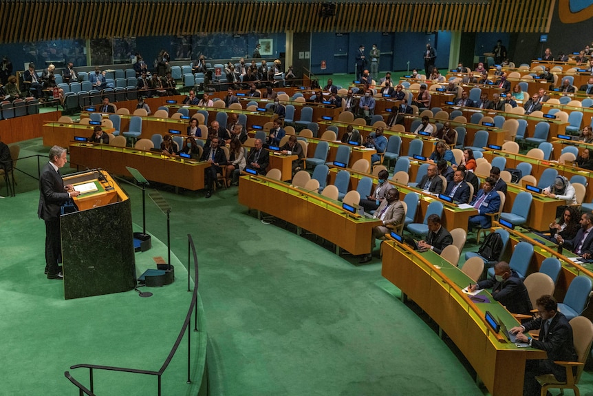 officials attend the Treaty on the Non-Proliferation of Nuclear Weapons conference.