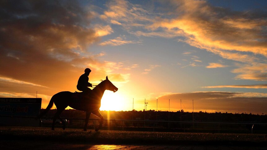 Craig Williams rides Commanding Jewel during a trackwork session at Moonee Valley