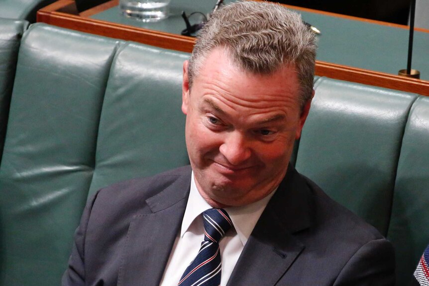 Defence Minister Christopher Pyne pulls a face as he listens in the House of Representatives
