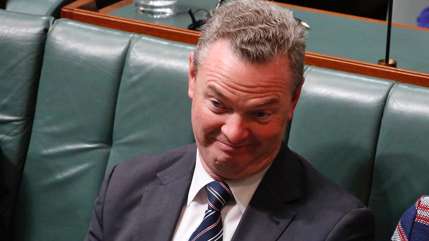 Defence Minister Christopher Pyne pulls a face as he listens in the House of Representatives