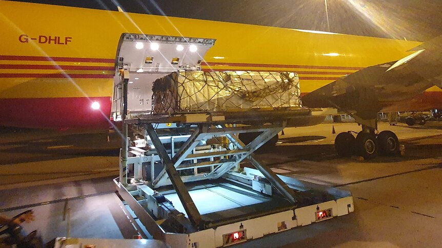 a crate of mangoes being loaded onto a large plane at night.